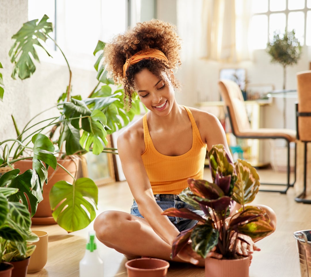 Aplicação de borras de café