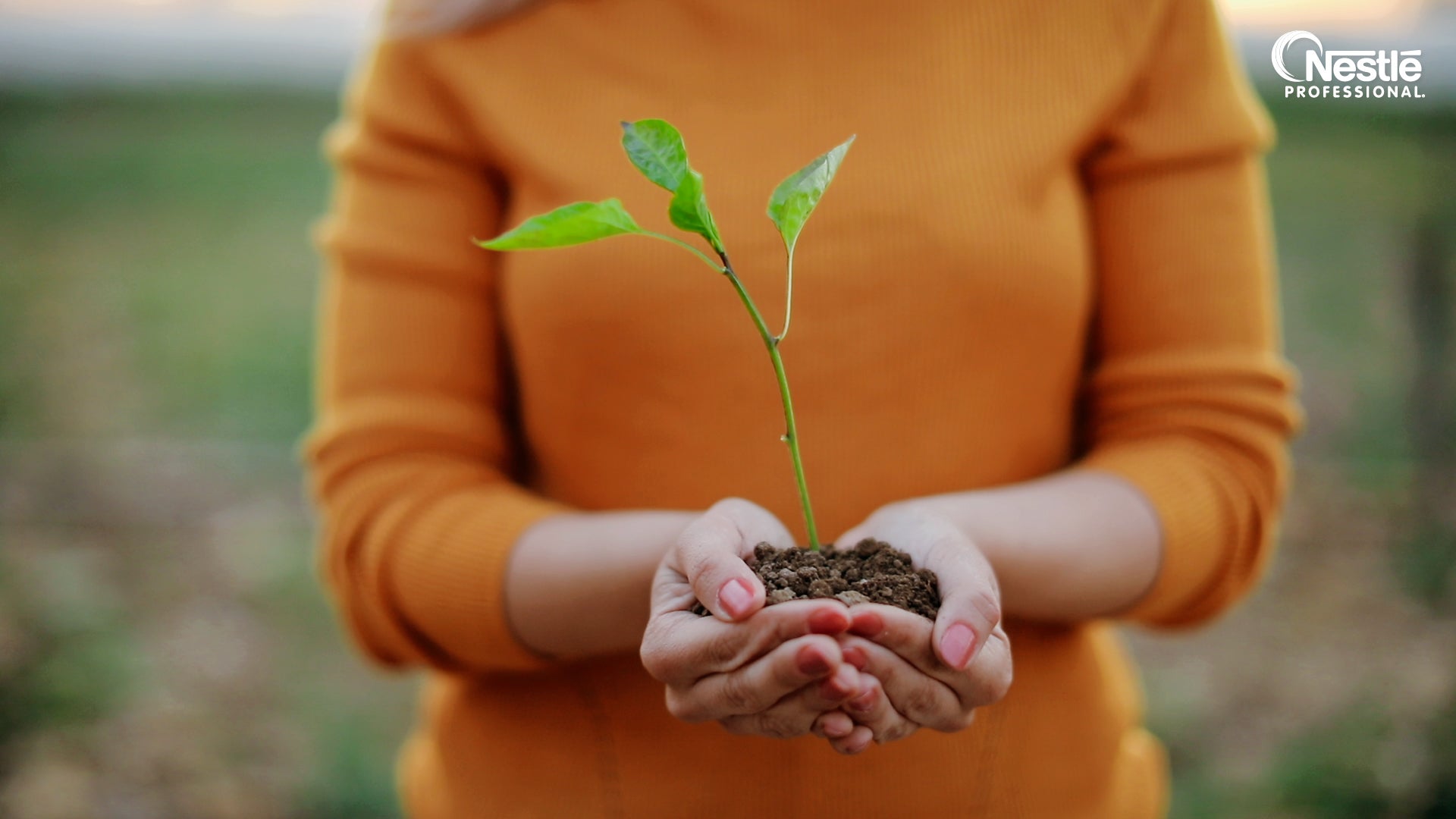 crescer sustentavel video