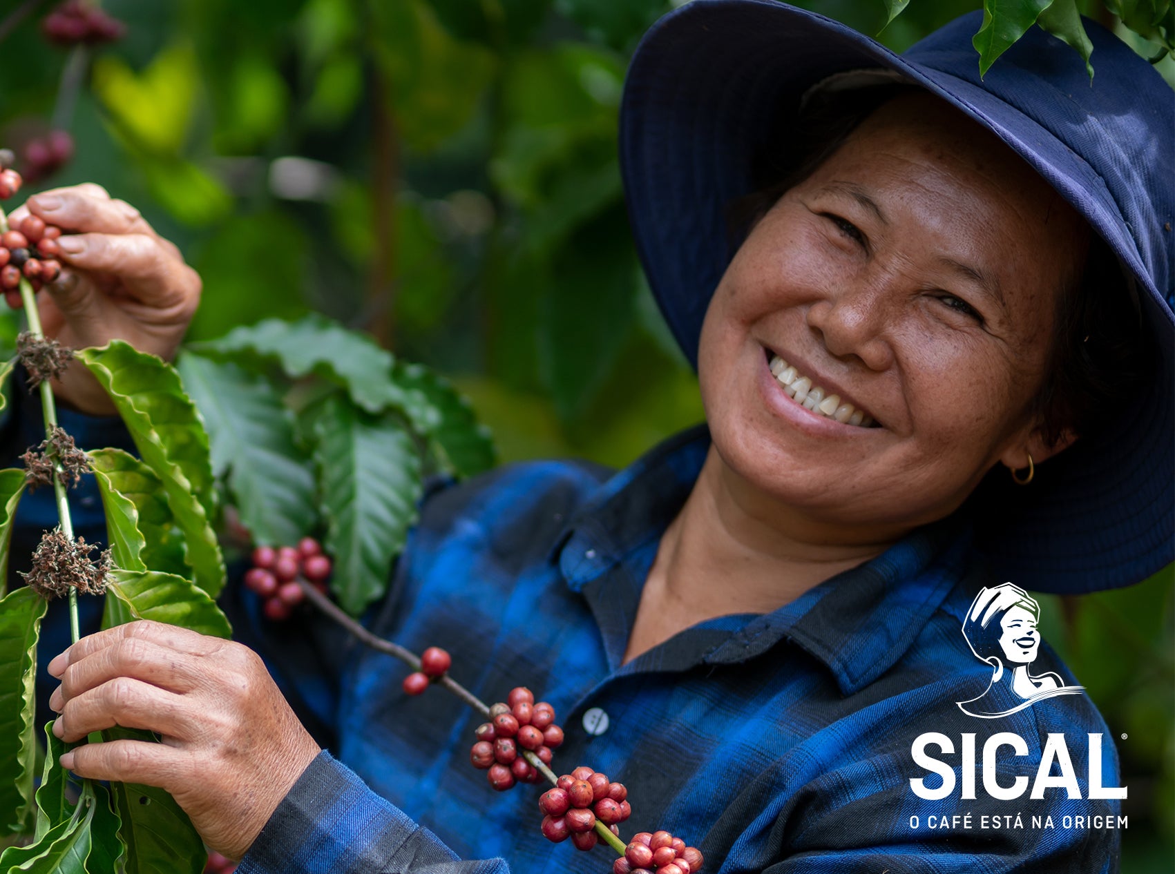 Mulher sorridente a apanhar café nas plantações Nestlé