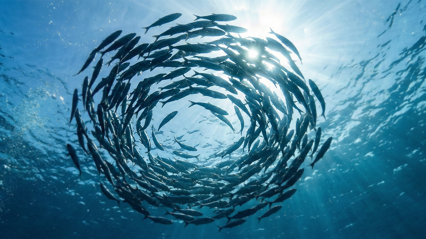 economia linear e circular