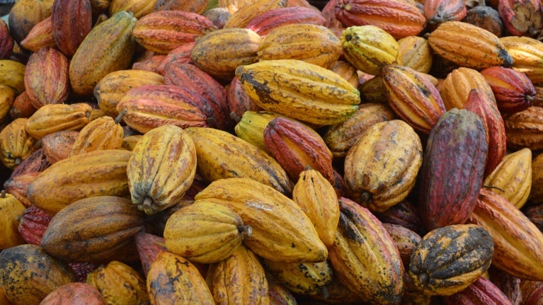 NESTLÉ® e Rainforest Alliance