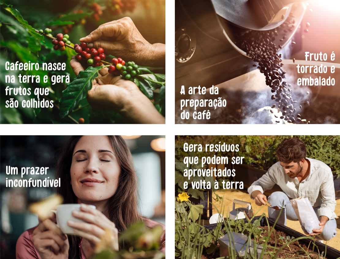 O processo do café circular