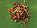 Picado Vegan Garden Gourmet®