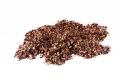 frutos_vermelhos_hibiscus